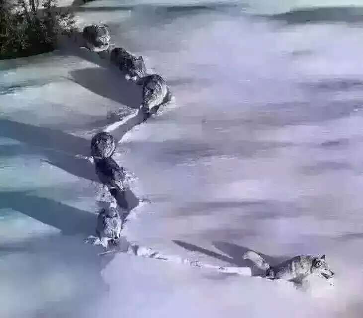 &#109;&#107;&#23448;&#32593;